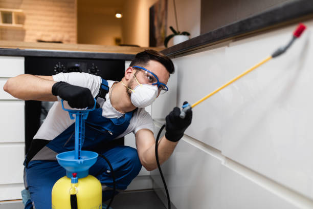 Best Cockroach Control Services  in Antioch, CA