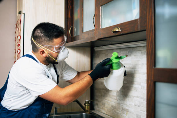 Pest Control Cost in Antioch, CA