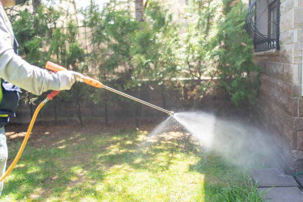 Flea Control Services in Antioch, CA