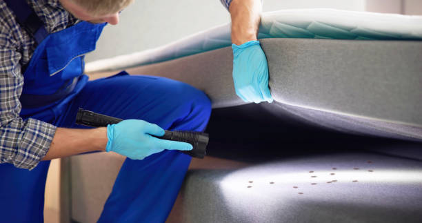 Best Pest Prevention Services  in Antioch, CA