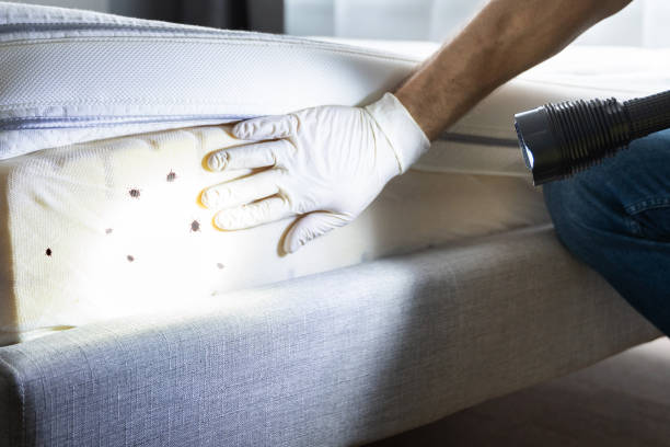  Antioch, CA Pest Control Pros