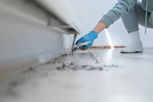 Best Bed Bug Extermination  in Antioch, CA