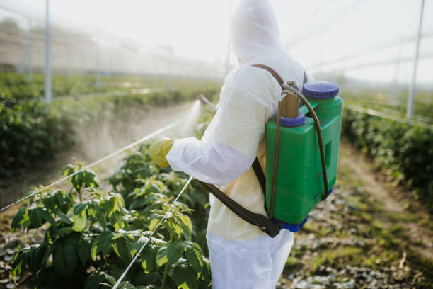 Best Wasp Removal Services  in Antioch, CA